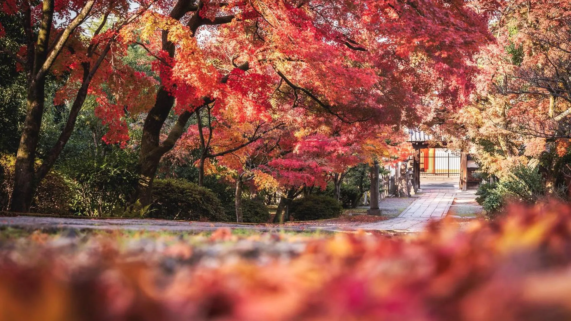 OMO5京都祇園 by 星野リゾート 京都市