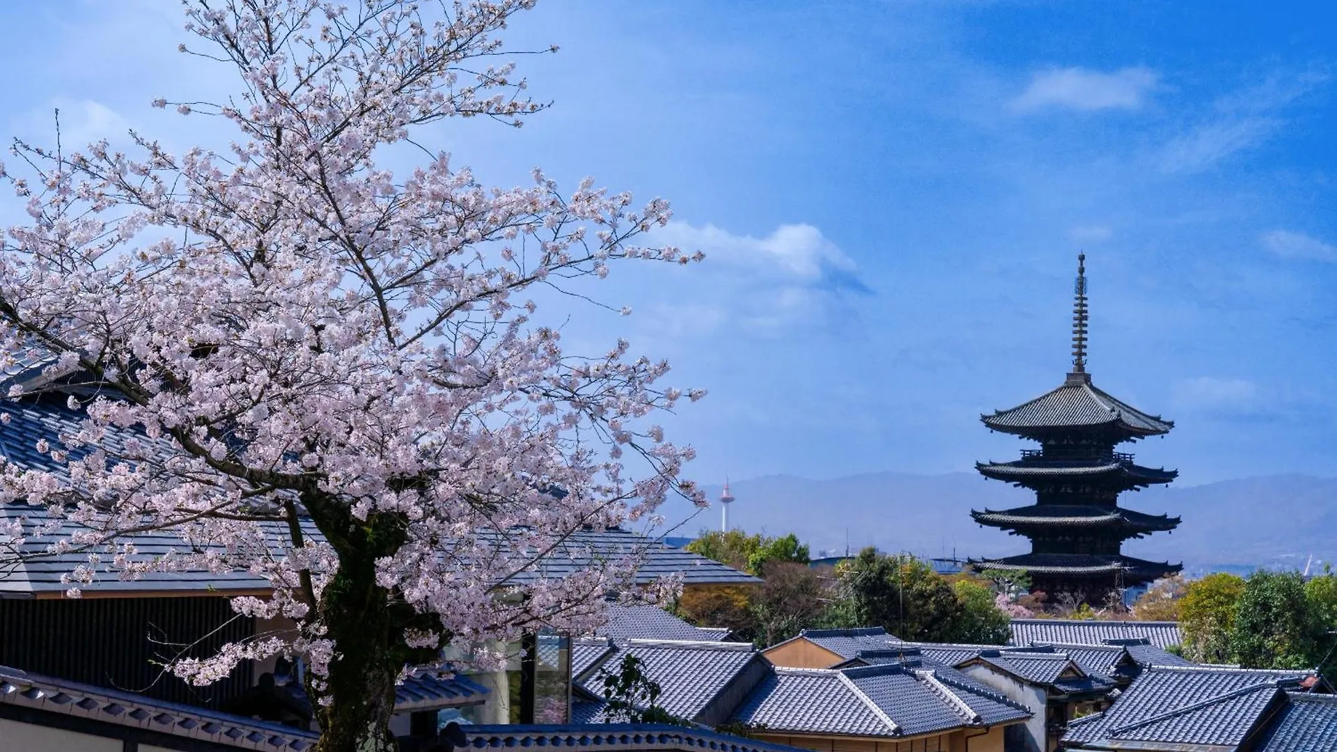 Hotel Omo5 Kyoto Gion By Hoshino Resorts
